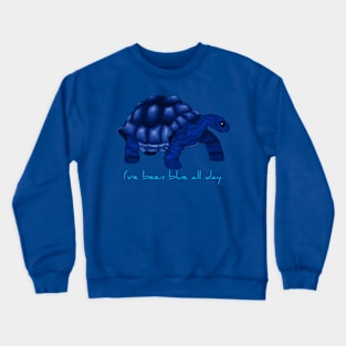 The Sad Turtle Crewneck Sweatshirt